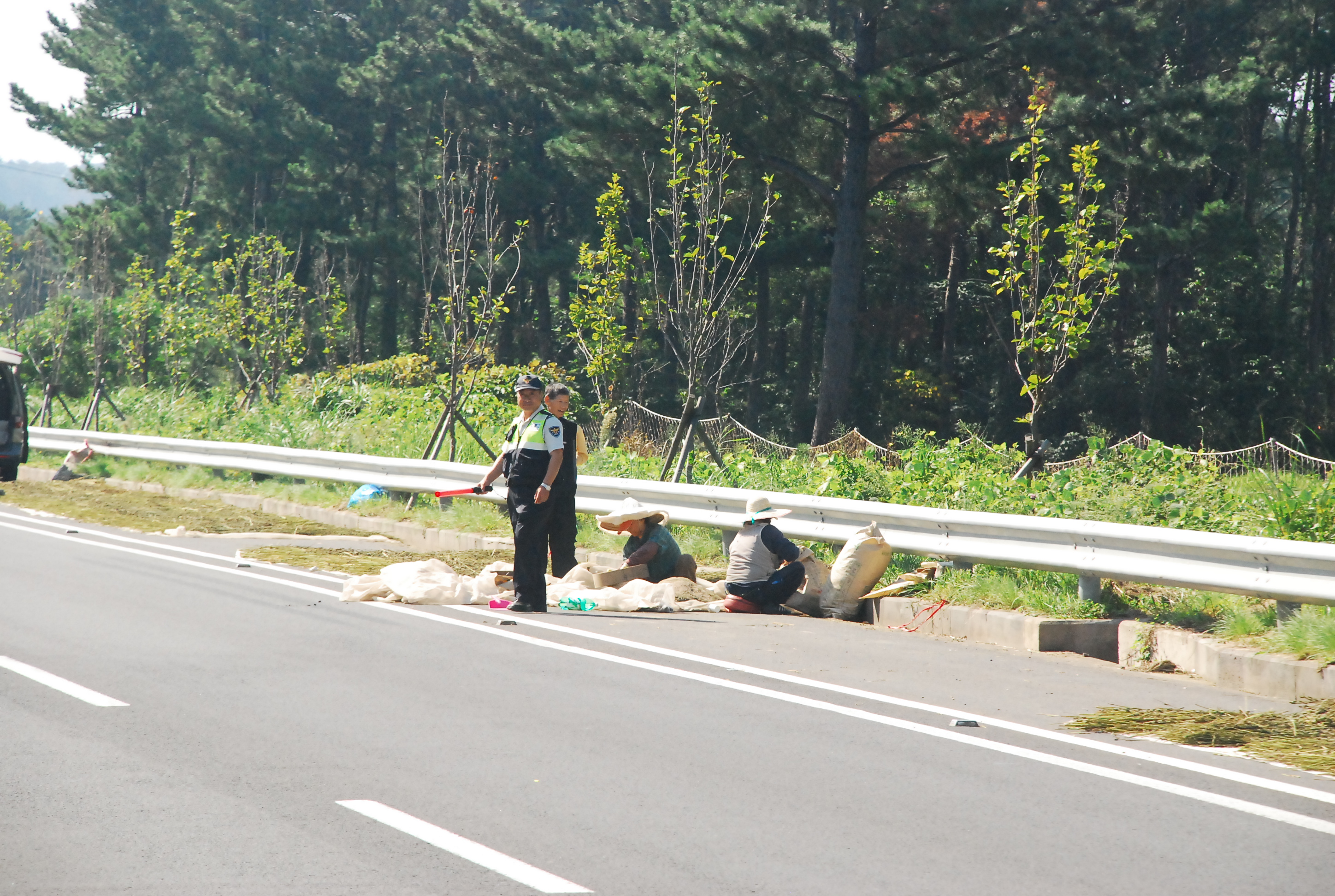 “농산물 건조, 수확하는 주민들도 경찰의 고객” 농작물 수확현장 교통사고 예방 활동 전개