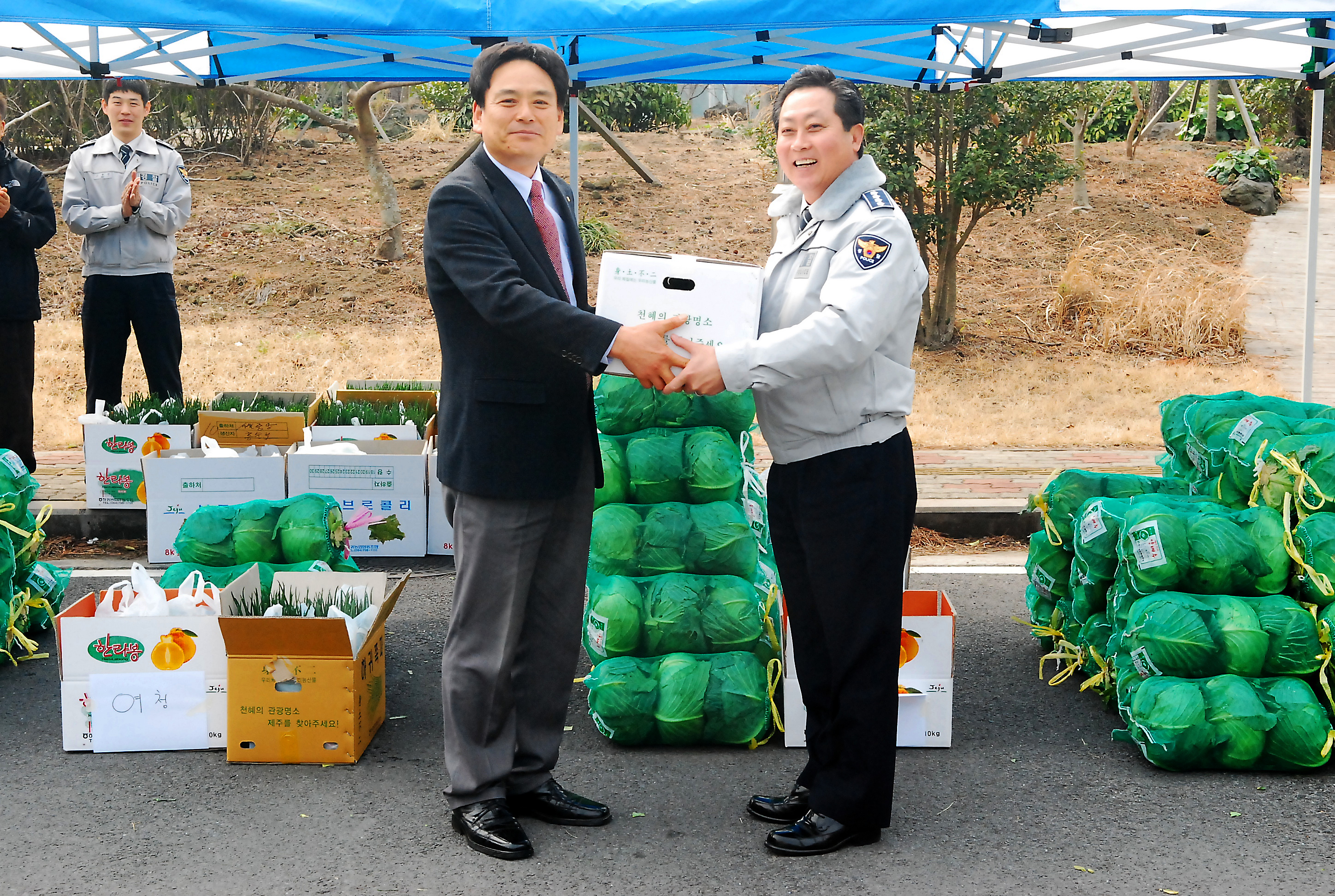 서부서, 양배추값 폭락으로 어려운 지역농가 돕기에 팔 걷었다